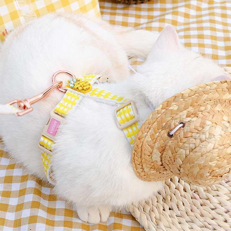 Summer Fruit Series Cat Leash 2 Color Cat Carrier Harness