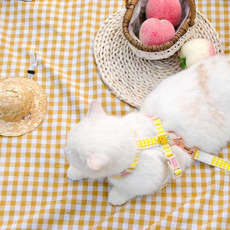 Summer Fruit Series Cat Leash 2 Color Cat Carrier Harness