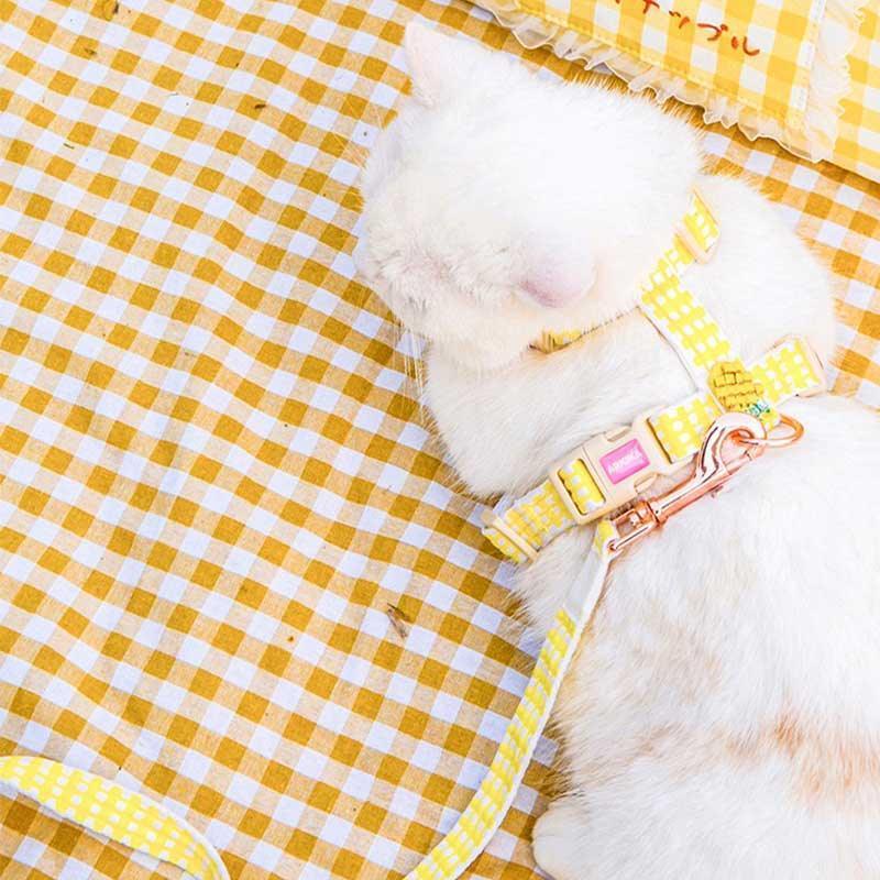 Summer Fruit Series Cat Leash 2 Color Cat Carrier Harness