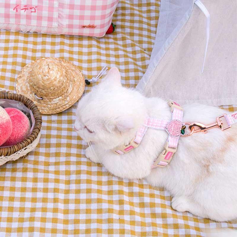 Summer Fruit Series Cat Leash 2 Color Cat Carrier Harness
