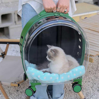 Transparent Cat Trolley Case Carrier With Wheels