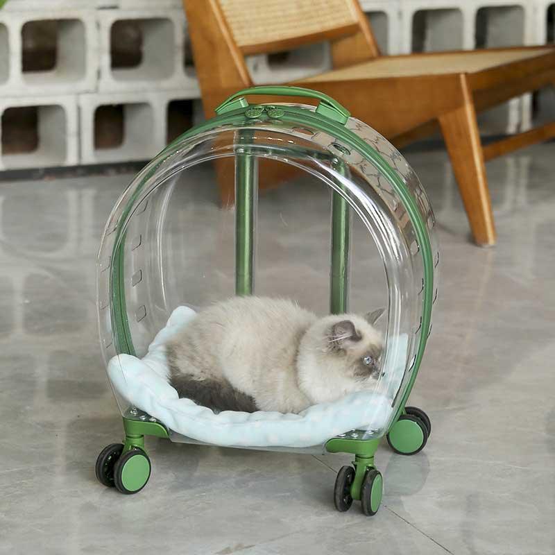 Transparent Cat Trolley Case Carrier With Wheels