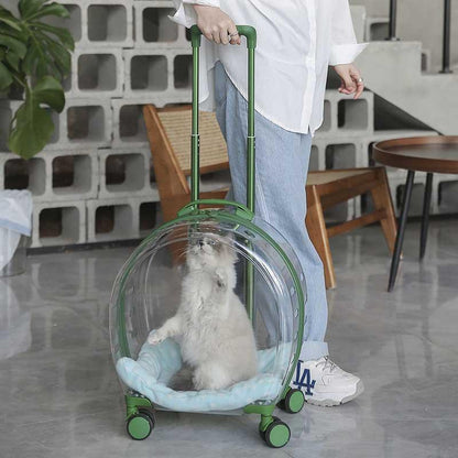 Transparent Cat Trolley Case Carrier With Wheels