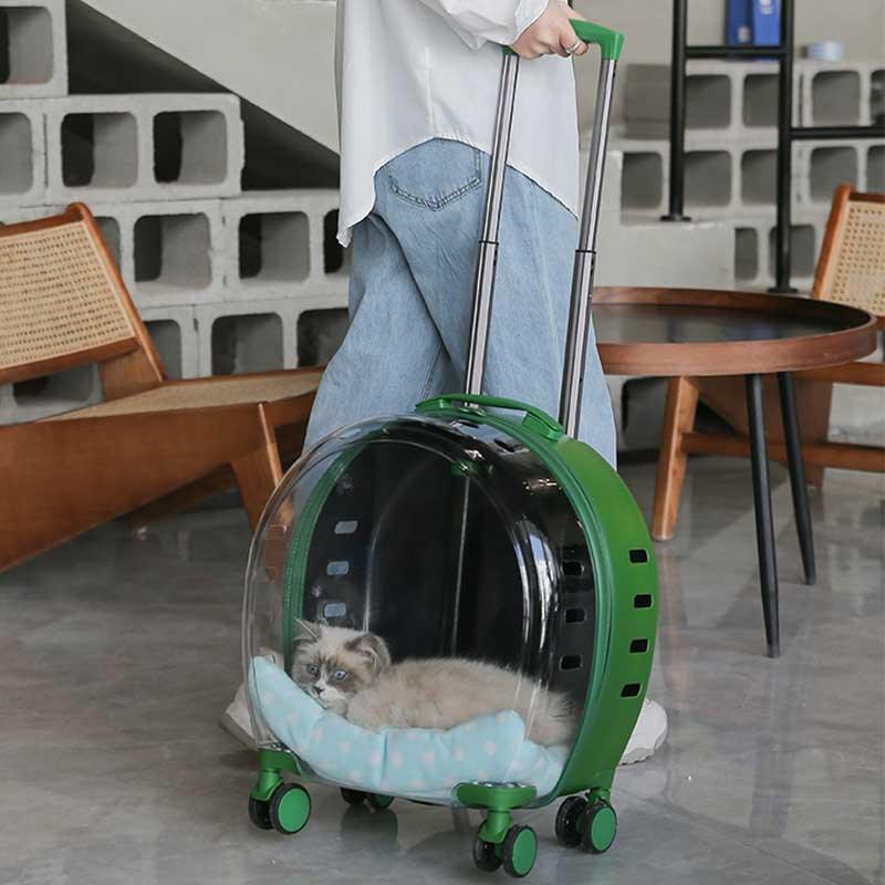 Transparent Cat Trolley Case Carrier With Wheels