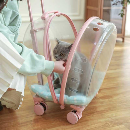 Transparent Cat Trolley Case Carrier With Wheels