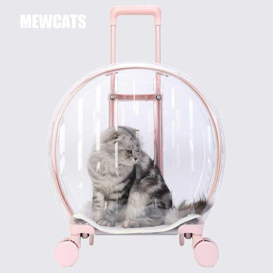 Transparent Cat Trolley Tote With Wheels Rolling Carrier