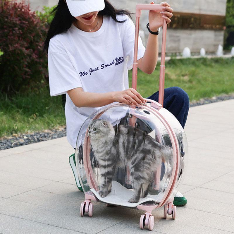 Transparent Cat Trolley With Wheels Rolling Carrier - MEWCATS