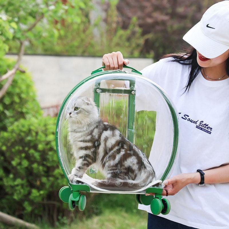 Transparent Cat Trolley With Wheels Rolling Carrier - MEWCATS