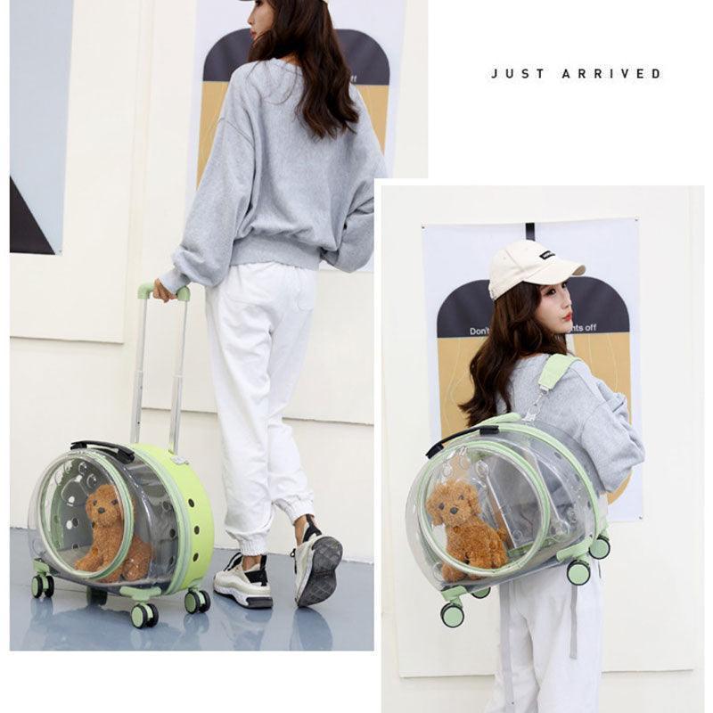 Transparent Cat Trolley With Wheels Rolling Carrier - MEWCATS