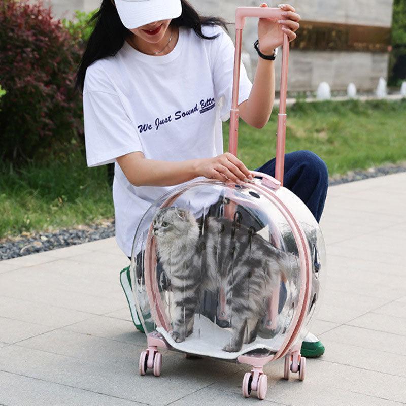 Transparent Cat Trolley Case Travel Transport Tote With Wheels Pet Handbag