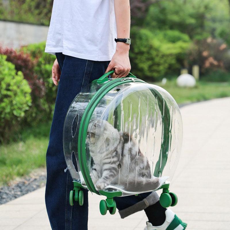 Transparent Cat Trolley With Wheels Rolling Carrier - MEWCATS