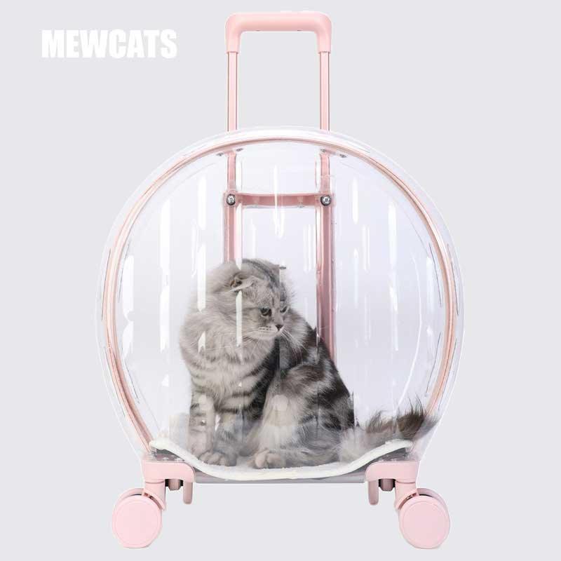 Transparent Cat Trolley With Wheels Rolling Carrier - MEWCATS