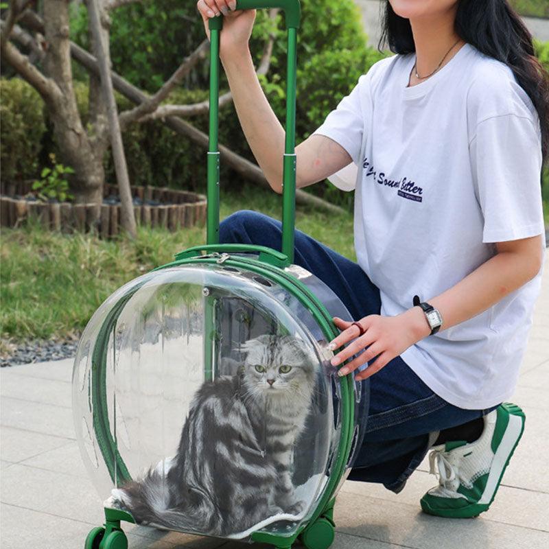 Transparent Cat Trolley Case Travel Transport Tote With Wheels Pet Handbag