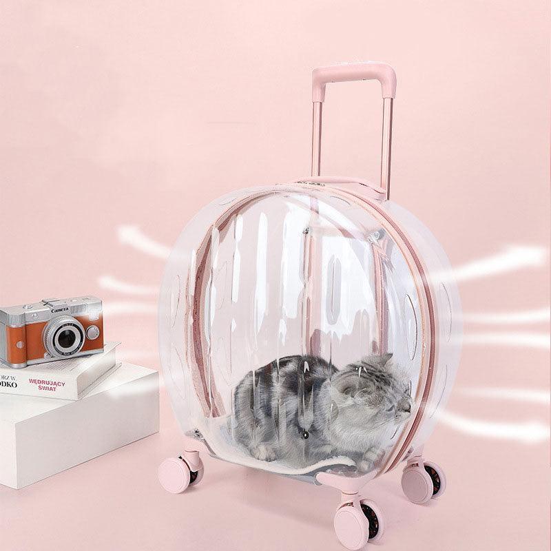 Transparent Cat Trolley With Wheels Rolling Carrier - MEWCATS