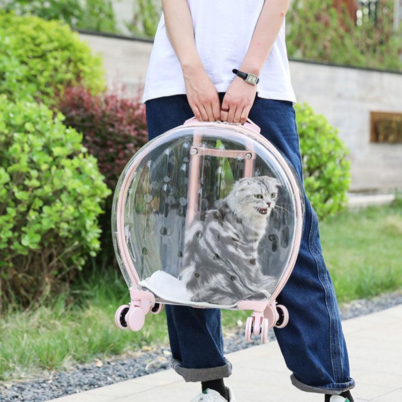 Transparent Cat Trolley With Wheels Rolling Carrier - MEWCATS