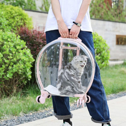 Transparent Cat Trolley With Wheels Rolling Carrier - MEWCATS