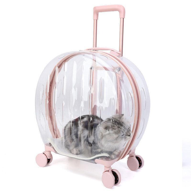 Transparent Cat Trolley With Wheels Rolling Carrier - MEWCATS