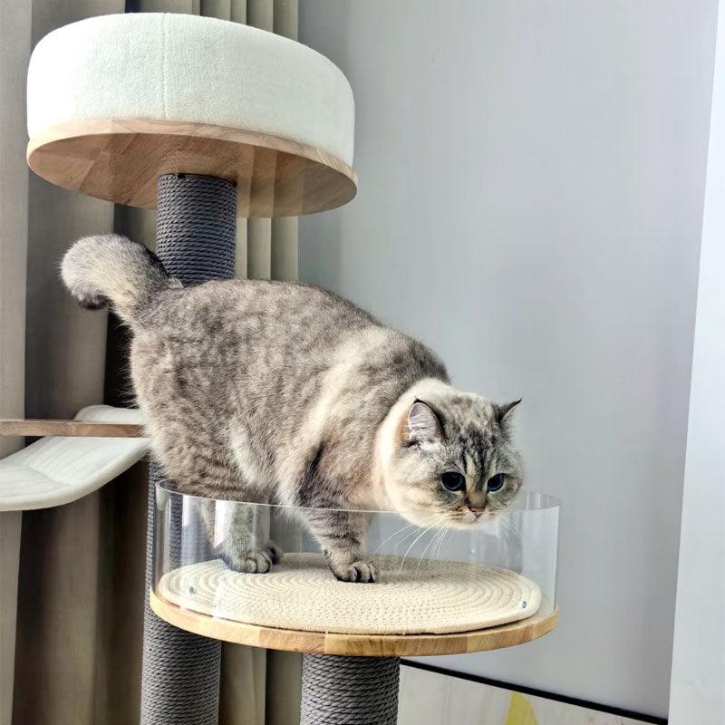 Treadmill Cat Climbing Tree Exercise Wheel - MEWCATS