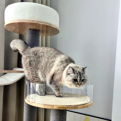 Treadmill Cat Climbing Tree Exercise Wheel - MEWCATS