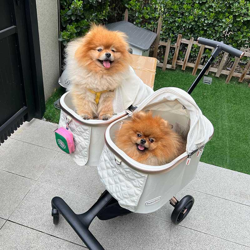 Twin Two-Seater Pet Stroller Cat Wheel Pram - MEWCATS