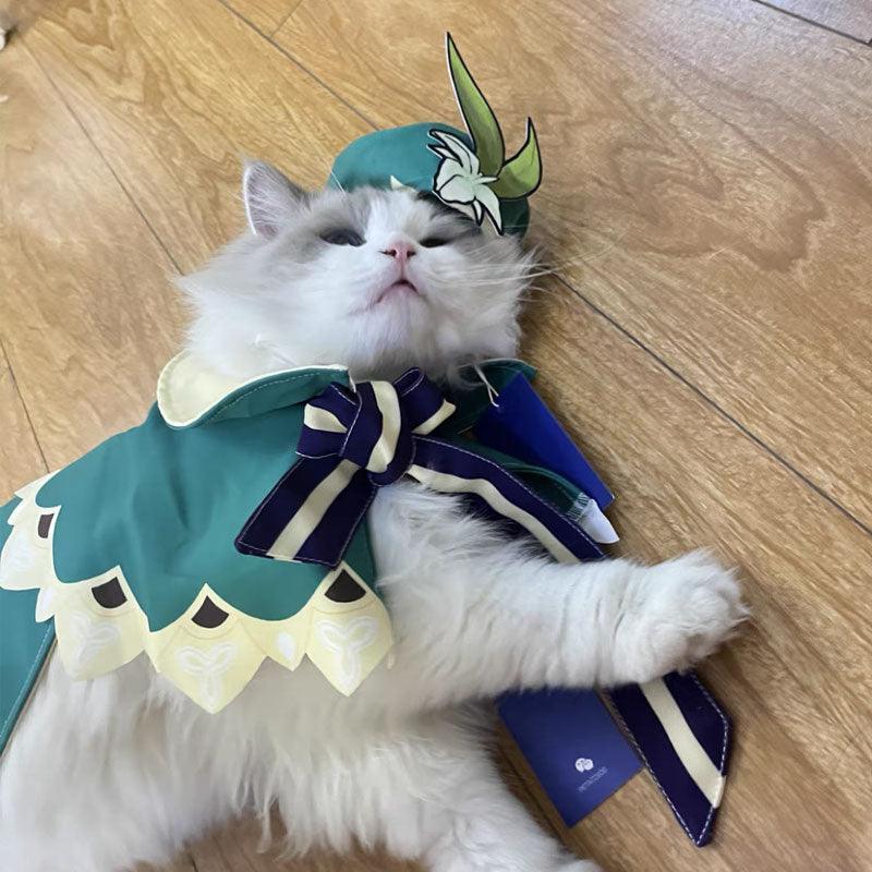 Venti Cat Anime Cosplay Costume Hat