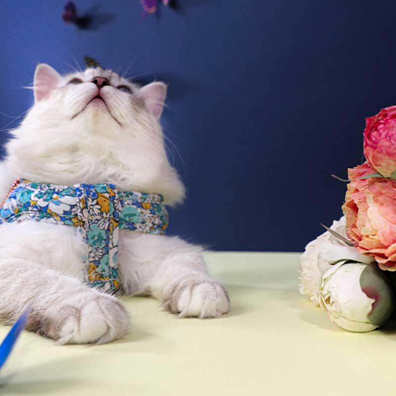 Vintage Flower Pattern Cat Leash 2 Color Harness Escape Proof