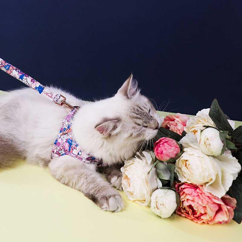 Vintage Flower Pattern Cat Leash 2 Color Harness Escape Proof