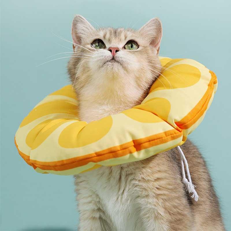 Waterproof Cute Cat Cone Pet Headgear