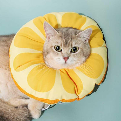 Waterproof Cute Cat Cone Pet Headgear