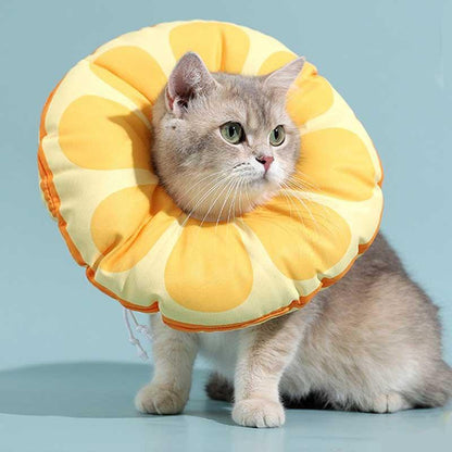 Waterproof Cute Cat Cone Pet Headgear