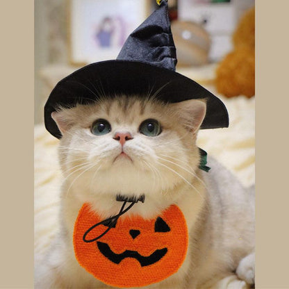 Wizard Cat Cape Hat Bib Halloween Costume