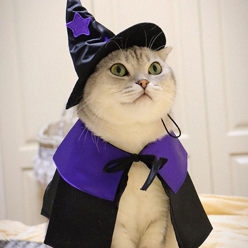 Wizard Cat Cape Hat Bib Halloween Costume