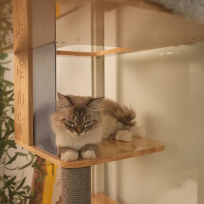 Wonderland Premium Panoramic Cat Villa - MEWCATS