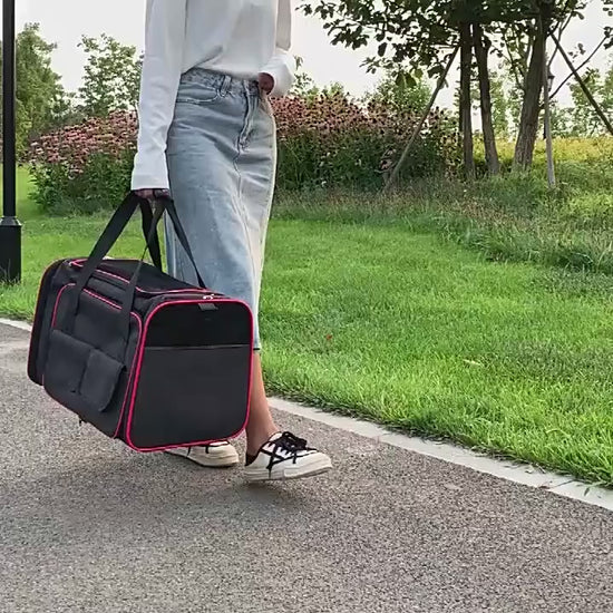 Cat Carrier Bag Soft Breathable Foldable Expandable 5 Color Pet Handbag