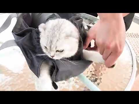 Cat Carrier Soft Bag Portable Breathable 2 Color Shoulder Pet Handbag