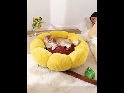 Small Cactus 2 Color Fluffy Warm Cat Bed