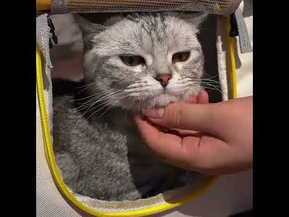 Large Cat Carrier Bag Breathable 2 Color Foldable Tote