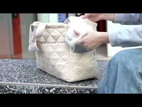 Pet Handbag Portable Breathable Small Cat Tote Outdoor Travel Pet Carrier Bag