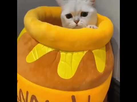 Honey Jar Cat Bed Nest Four Seasons Cave